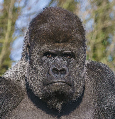 Profilbild von Harald